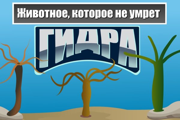 Что такое кракен маркетплейс в россии