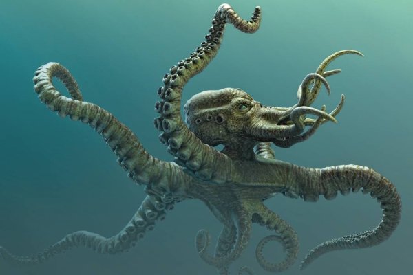 Kraken вход зеркало